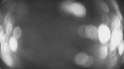 Lanovka - pohled dolů