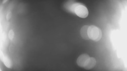 Lanovka - pohled dolů