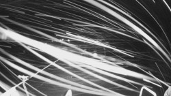 Lanovka - pohled dolů