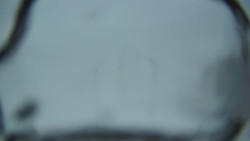 Lanovka - pohled dolů