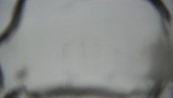 Lanovka - pohled dolů