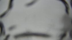 Lanovka - pohled dolů