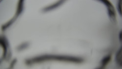 Lanovka - pohled dolů