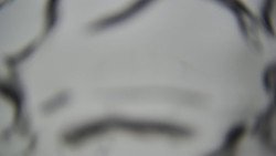 Lanovka - pohled dolů