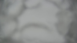 Lanovka - pohled dolů