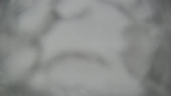 Lanovka - pohled dolů