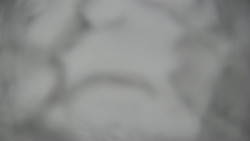 Lanovka - pohled dolů