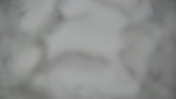 Lanovka - pohled dolů