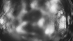 Lanovka - pohled dolů