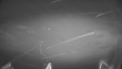 Lanovka - pohled dolů