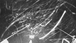 Lanovka - pohled dolů