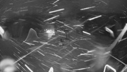 Lanovka - pohled dolů