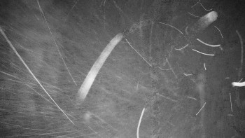 Snímek    14.10.2025 v 21:00