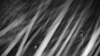 Snímek    15.10.2025 v 03:00