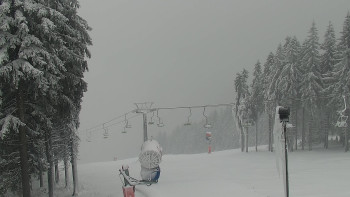 Snímek    24.11.2025 v 11:00