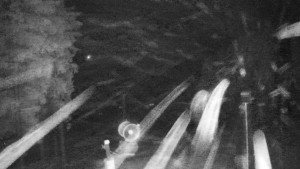 Snow park Paprsek - Kaplička - 13.2.2026 v 00:00