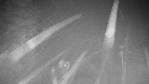 Snow park Paprsek - Kaplička - 13.2.2026 v 01:00