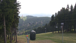 Kaplička