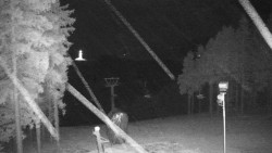 Kaplička