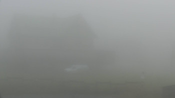 Snímek    4.11.2025 v 10:00