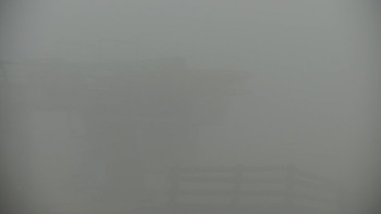 Snímek    2.11.2025 v 07:00