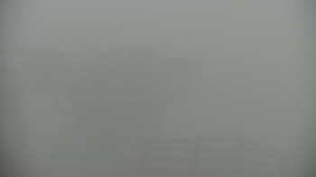 Snímek    2.11.2025 v 13:00