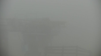 Snímek    9.11.2025 v 11:00