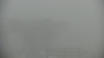 Snímek 10.11.2025 v 09:00