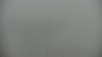 Snímek    11.11.2025 v 07:00