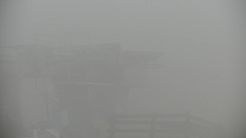 Snímek    11.11.2025 v 15:00