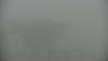 Snímek    13.11.2025 v 11:00