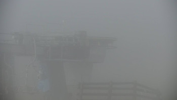 Snímek 13.11.2025 v 13:00