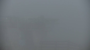 Snímek 13.11.2025 v 14:00