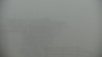 Snímek 16.11.2025 v 11:00