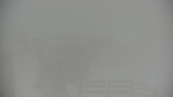 Snímek    19.11.2025 v 09:00