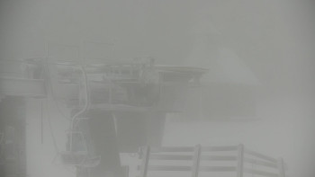 Snímek    19.11.2025 v 10:00