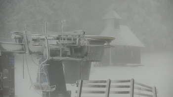 Snímek 19.11.2025 v 14:00