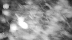 Snow park Paprsek - Výstupní stanice - 30.12.2025 v 00:00