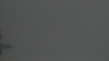 Snímek    25.10.2025 v 07:00