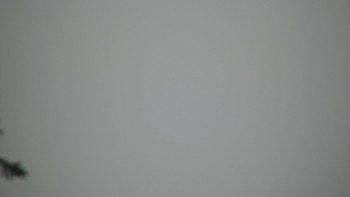 Snímek    27.10.2025 v 14:00