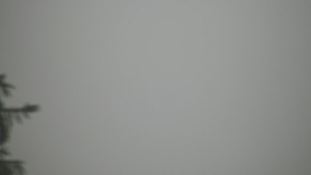 Snímek    1.11.2025 v 08:00