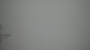 Snímek    2.11.2025 v 07:00