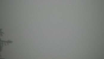 Snímek    2.11.2025 v 09:00