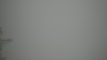 Snímek    4.11.2025 v 09:00