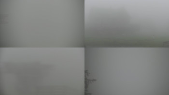 Snímek    18.9.2025 v 13:01