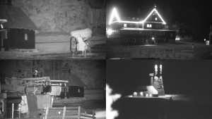 Snow park Paprsek - Paprsek - sdružený snímek - 11.3.2026 v 21:30 Snow park Paprsek - Paprsek - sdružený snímek - 11.3.2026 v 21:30