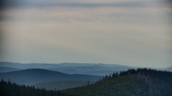 Snímek    10.5.2025 v 19:00