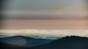 Snímek    11.5.2025 v 06:00