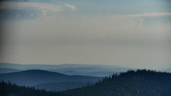 Snímek    12.5.2025 v 08:00