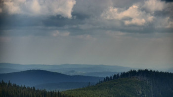 Snímek    12.5.2025 v 10:30